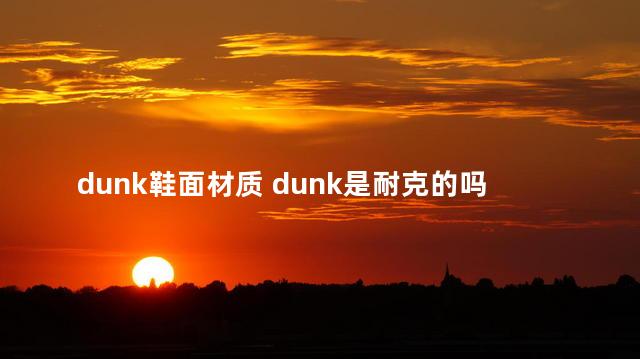 dunk鞋面材质 dunk是耐克的吗